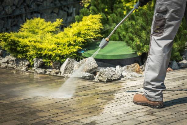 Professional Pressure Washing Services in River Grove, IL